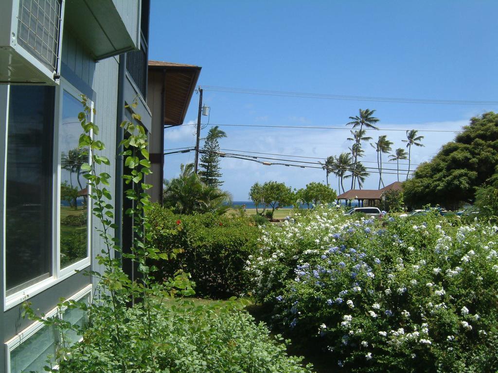 Hale Pua Villa - Seaside Studio Колоа Экстерьер фото